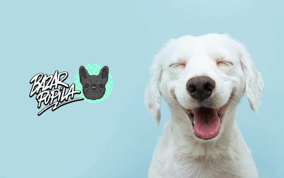 Bazarpupila.pl - Zapakowane przez właścicieli pupili